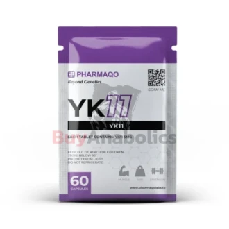 YK11